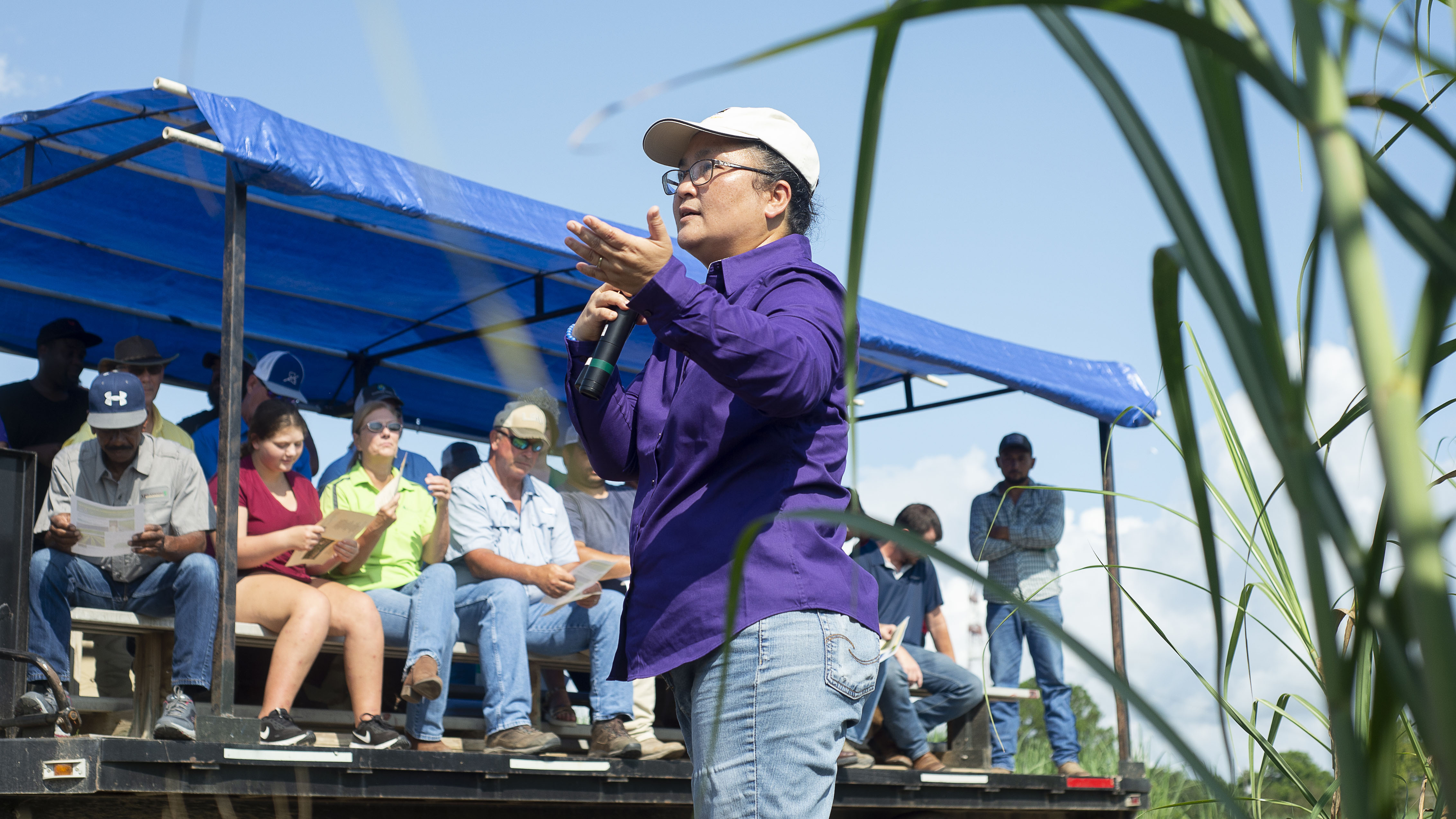 LSU AgCenter News for Summer 2021